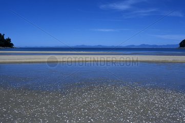 Sandstrand bei Ebbe Neuseeland