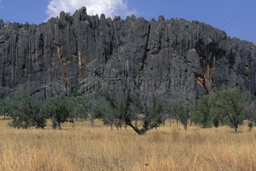 Eroded rock bar and meadow Kimberley Australia WA