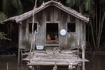 Wooden house on stilts along the Amazon River Brazil
