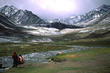 Fluss am Khardungla Ladakh India Hals