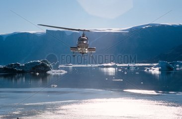 Hélicoptère au Groenland