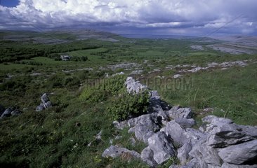 Baie de Galway Nationalpark Burren Irland