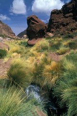 Brook in der Gegend von Atacama in Chile
