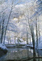 Rivière le Dard en hiver Baume les Messieurs Jura France