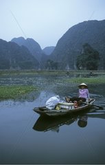 Oarswoman on the river Ngo Dong Bay of Ha Long terrestrial