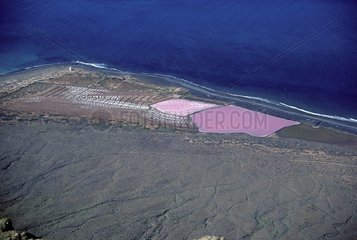 Luftaufsicht der Insel Lanzarote Spanien