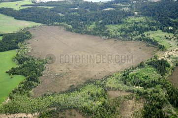Aerial view of the Frasne bog in the Haut-Doubs France