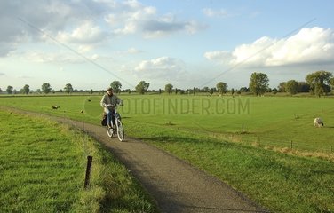 Cycling and Cycling in Holland