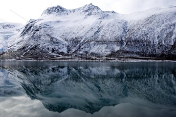 Glacier Svartisen reflecteding in North Sea Norway