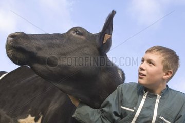 Junge an den Seiten einer Kuh Frankreich [at]