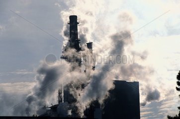 Rauch der Gironde Frankreich Kiefer Cellulosefabrik
