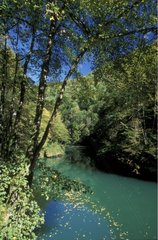 Rivière de la Loue Ouhans Doubs