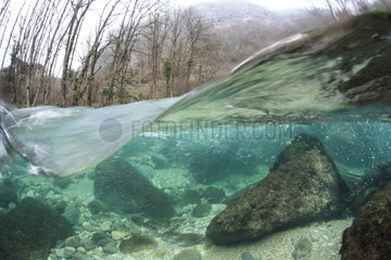 Underwater landscape  in mid-air photo mid-water  in the clear waters of the river livelyt Guiers   Savoie  France