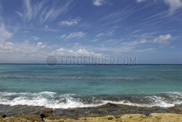 Tropical sea at the Plage de l'Anse du souffleur Guadeloupe