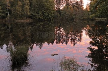 Sunrise reflection on a pond Plateau des milles étangs