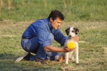 Mann spielt den Ball mit einem Bastard -Hund Frankreich