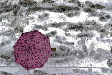 Person walking in a snowy day with an umbrella