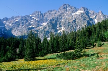 Massif des Carpates  parc national des Tatras