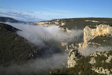 Mist over the Gorges of Ardèche France