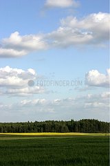 Landscape of Kachoubie in summer Poland of North