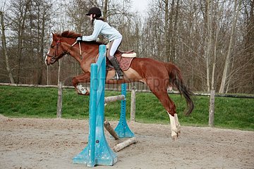 Young rider jumping an obstacle with his Horse France