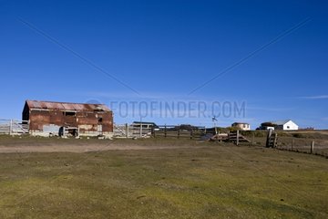 Unique hamlet in Pebble Island Falkland Islands