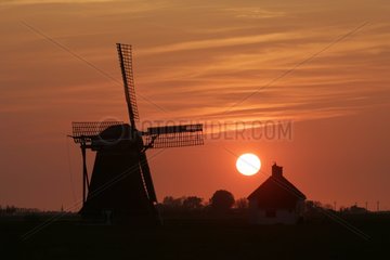 Windmühle bei Sunset Parrega Niederlande