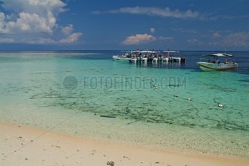 Feiner Sand und klares Wasser auf der Insel Pulau Sipadan Malaysia