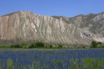 Sight on the solid mass of Tien Shan in summer
