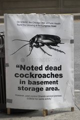 Poster  der die Anwesenheit von Kakerlaken in Chicago verurteilt