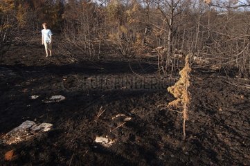 Enfant dans une forêt brûlée Lozère France