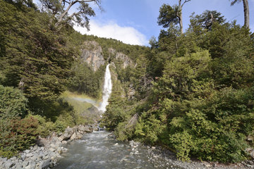 Parque Nacional Laguna San Rafael  surroundings of Puerto Rio Tranquilo  XI Region of Aysen  Chile