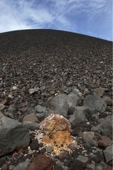 Felsen an der Seite des Cerro -Negervulkans Nicaragua