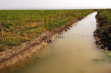 Secondary channel of drainage Lake Fetzara Algeria [AT]