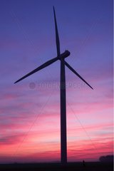 Windmühle bei Sonnenuntergang in der Ebene du Moulin Frankreich