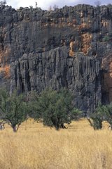Eroded rock bar and meadow Kimberley Australia WA