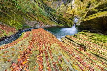 The Cheran gorges in autumn  River draining the Bauges massif  to Hery sur Alby  Savoie  Alps  France