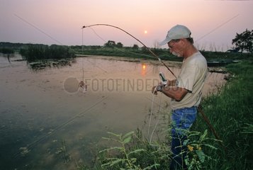 Bill Howell preparing bait for Alligator Texas USA