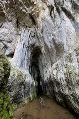 Cave of Sura Mare Romania