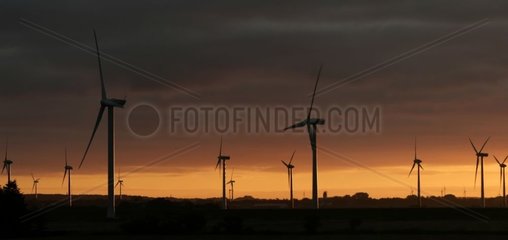 Windmühle bei Tagesanbruch Husum Deutschland [at]