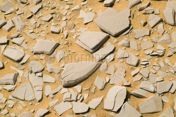 Rocks on Dune sand yellow Tassili N'ajjer Algeria