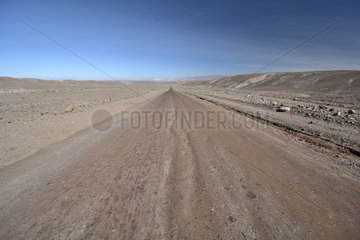 Trail in the Atacama Desert  around San Pedro de Atacama  II Antofagasta Region  Chile