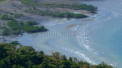 Mangrove étouffée par la boue sur la côte est Mayotte