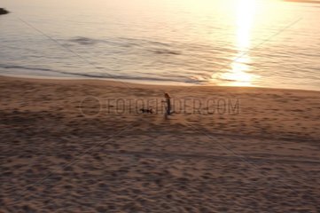 Dog leaves some and its owner running on the beach France