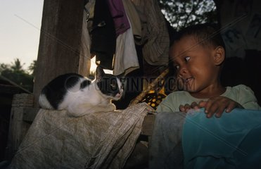 Camé de Child Cambodge Gutter Katze