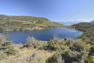 Lago Negro  surroundings of Puerto Guadal  Carretera Austral  XI Region of Aysen  Chile
