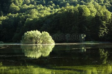 Lake at sunset PN Biogradska Gora Montenegro