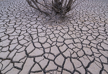 Land cracked by draught in the Riaño reservoir (embalse)  Leon province  Castilla y Leon  Spain  Europe