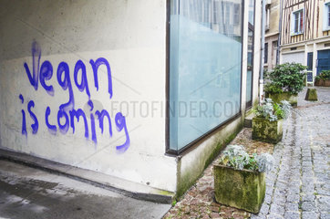 Graffiti 'Vegan' in a passage in downtown Limoges  France