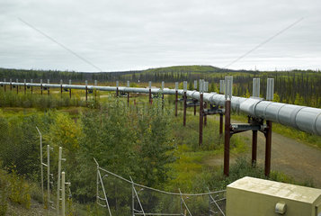 Dalton Highway : from Fairbanks to Prudhoe Bay  Trans Alaska Pipeline System (TAPS)  Autumn at mile 56  Yukon crossing  Alaska  USA